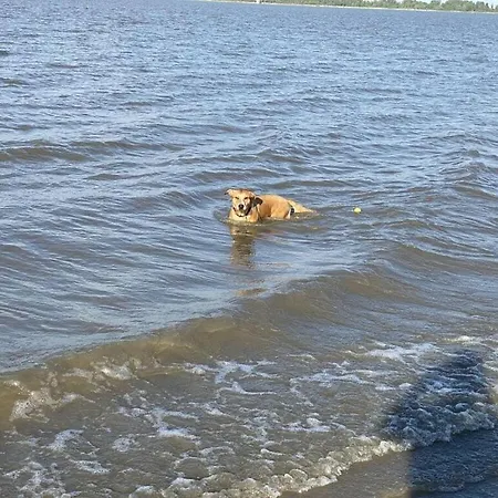 Apartamento Elbe Westende