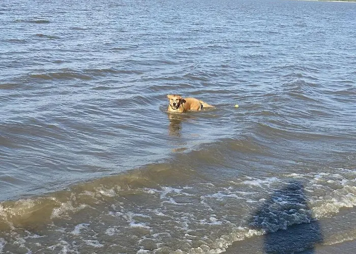 Apartament Elbe Westende